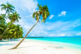 Splendours Of Andaman